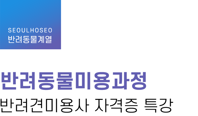 반려동물계열 | 반려동물미용과정 반려견미용사 자격증 특강