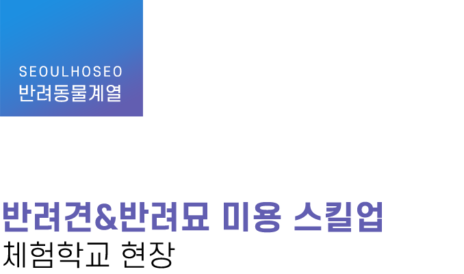 반려동물계열 | 반려견&반려묘 미용 스킬업 체험학교 현장