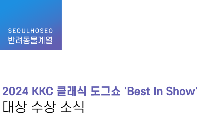 반려동물계열 | 2024 KKC 클래식 도그쇼 'Best In Show' 대상 수상 소식