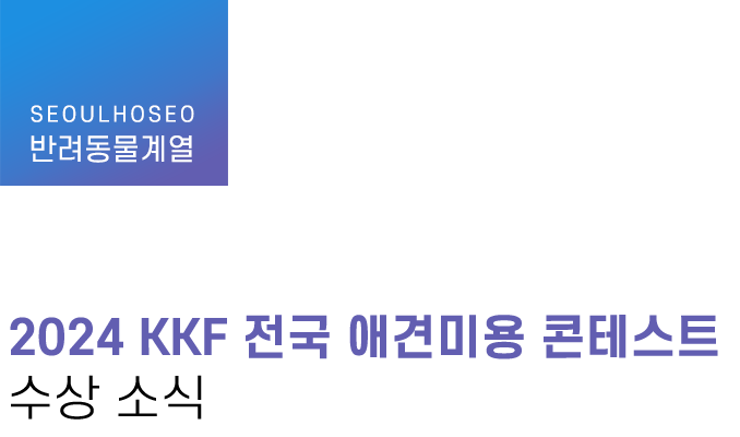 반려동물계열 | 2024 KKF 전국 애견미용 콘테스트 수상 소식