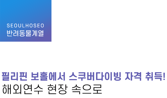 반려동물계열 | 필리핀 보홀에서 스쿠버다이빙 자격 취득! 해외연수 현장 속으로