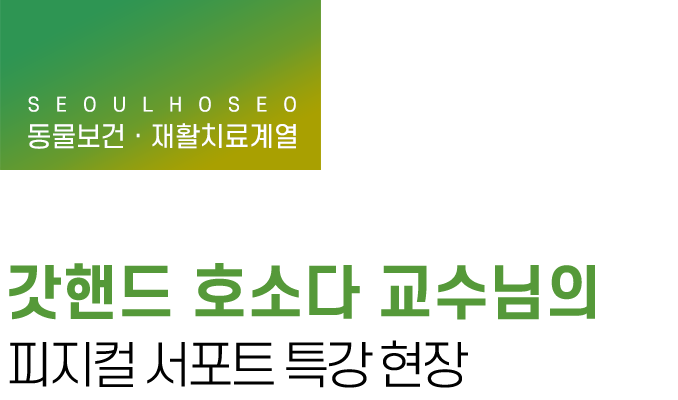 동물보건·재활치료계열 | 갓핸드 호소다 교수님의 피지컬 서포트 특강 현장