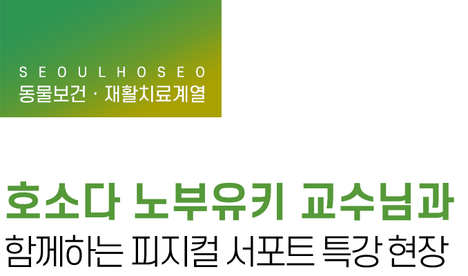 동물보건·재활치료계열 | 호소다 노부유키 교수님과 함께하는 피지컬 서포트 특강 현장