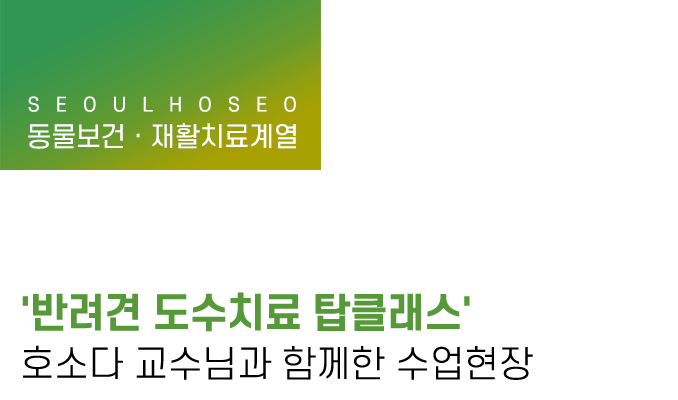 '반려견 도수치료 탑클래스' 호소다 교수님과 함께한 수업현장
