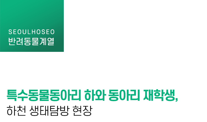 특수동물동아리 하와 동아리 재학생, 하천 생태탐방 현장