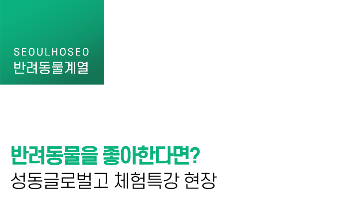 반려동물을 좋아한다면? 성동글로벌고 체험특강 현장