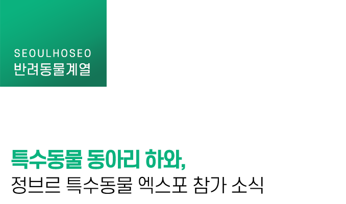 특수동물 동아리 하와, 정브르 특수동물 엑스포 참가 소식