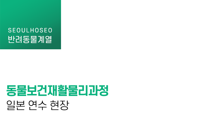 동물보건재활물리과정 일본 연수 현장