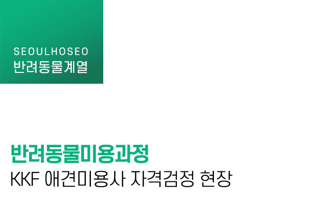 반려동물미용과정 KKF 애견미용사 자격검정 현장