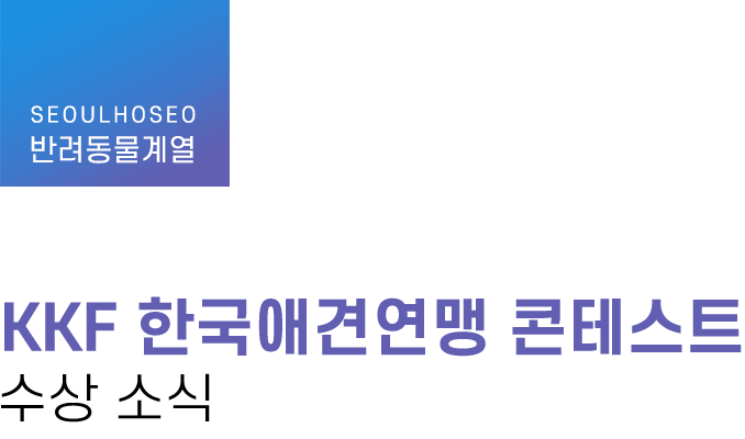 반려동물계열 | KFF 한국애견연맹 콘테스트 수상 소식