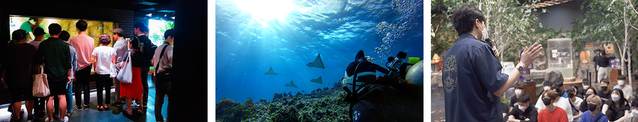 동물원, 아쿠아리움, 스쿠버다이빙 등 특별한 현장학습