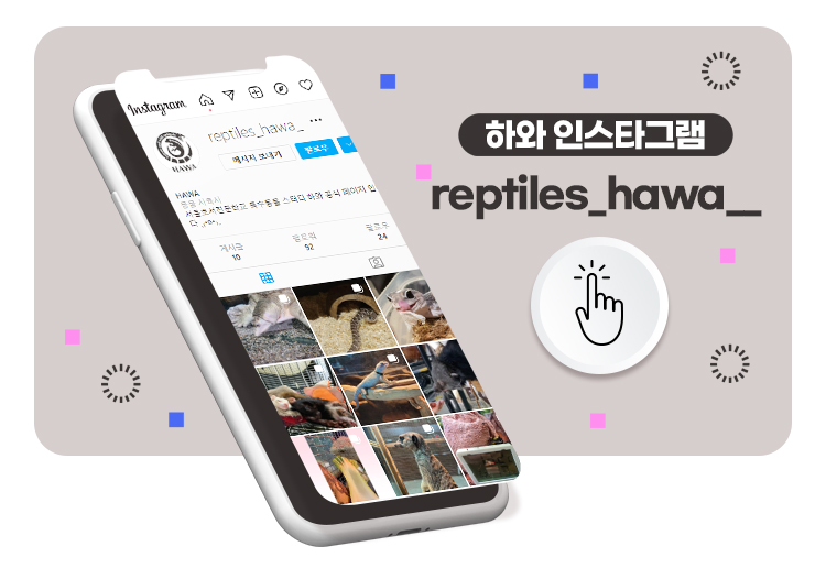 특수동물사육 하와